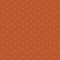 mfR792425D Pumpkin